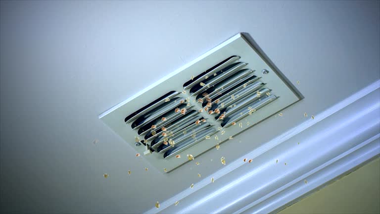 Best Affordable HVAC Duct Cleaning  in Belmond, IA
