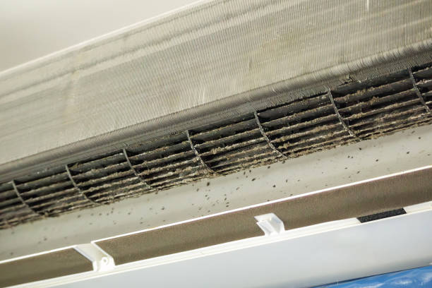 Best Air Duct Cleaning Near Me  in Belmond, IA