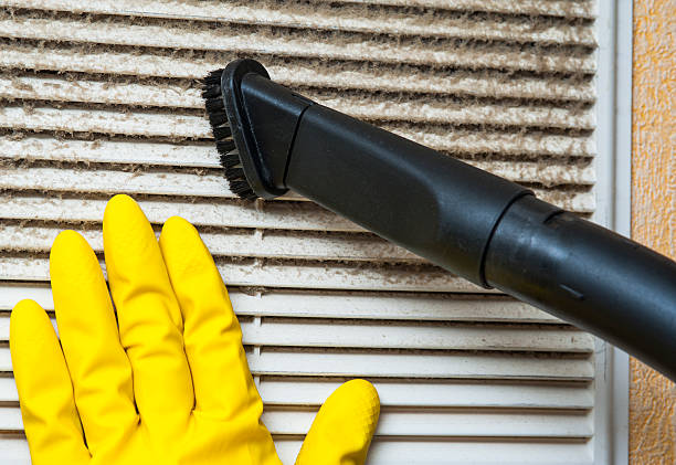 Best Residential Air Duct Cleaning  in Belmond, IA